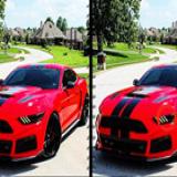 Fancy Mustang Differences