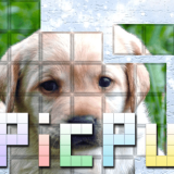 PicPu-Dog